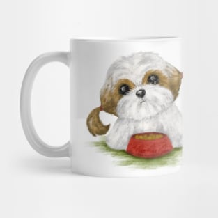 Shih Tzu eating Mug